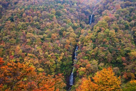 紅葉　三階滝