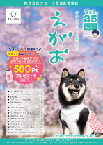 互助会会員様向け情報誌「えがお」